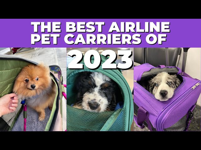 Yipa Airline Approved Dog Carriers for Small Dogs, Cat Carriers