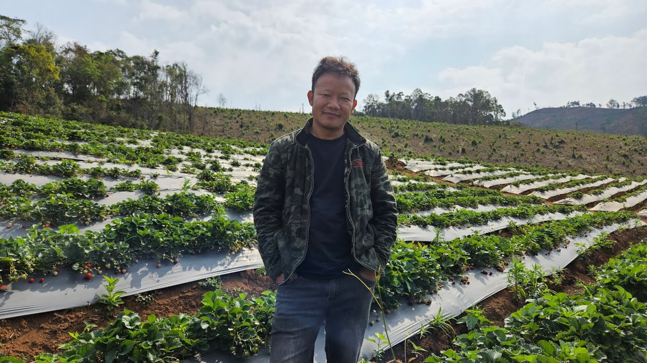 Tus Ntse Nyiag Tus Ruam Thiaj Npam Ntag 03/03/2024