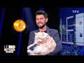 Le big bêtisier 100 % chats-Episode2[Big bêtisier] Mp3 Song