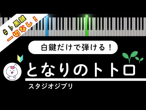 My Neighbor Totoro/Studio Ghibli　You can easily play the piano using only the white keys.