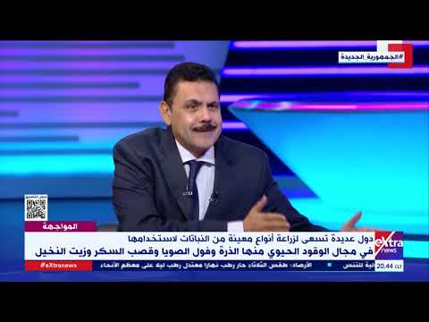 الوقود الحيوي هل يحل أزمة الطاقة أم يفاقم أزمة الغذاء د أحمد أبو اليزيد يوضح