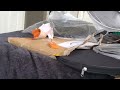 Rech Stealth Cymbals Set Unboxing