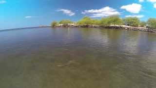 DJI Phantom+GoPro Hero 3 + Black Tip Reef Sharks=
