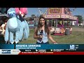 Twin Falls County Fair opens Wednesday