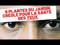 6 plantes du jardin crole pour la bonne sant de vos yeux 