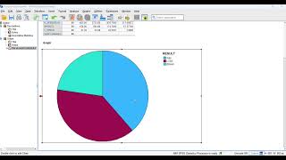 GROUP PROJECT SPSS (SRT666) 