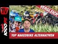 Top Nakedbike Alternativen zum halben Preis - Gebrauchtmotorrad Test