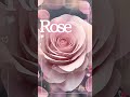 Rose Shorts HealingMusic BGM Rei Music RelaxingMusic