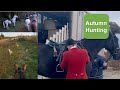 Autumn hunting on lourds our warmblood horse  equestrian