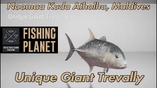 Unique Giant Trevally Noomaa Kuda Atholhu Maldives Fishing Planet Guide