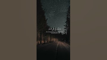 تلاوه هادئه للقارئ الشيخ اسلام صبحي اكتب شيء تؤجر عليه ✍️♥🤍