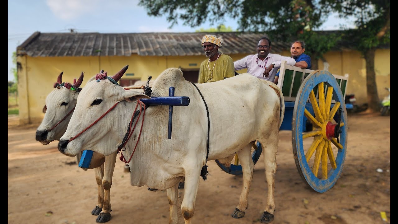 Bethel Mat Hr Sec School, Ayanavaram: "A One-Day Farmer " Initiated by Dream Kalam @Sagayathottam