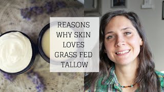 Reasons Why Skin Loves Grass Fed Tallow | TALLOW FOR SKIN | Bumblebee Apothecary