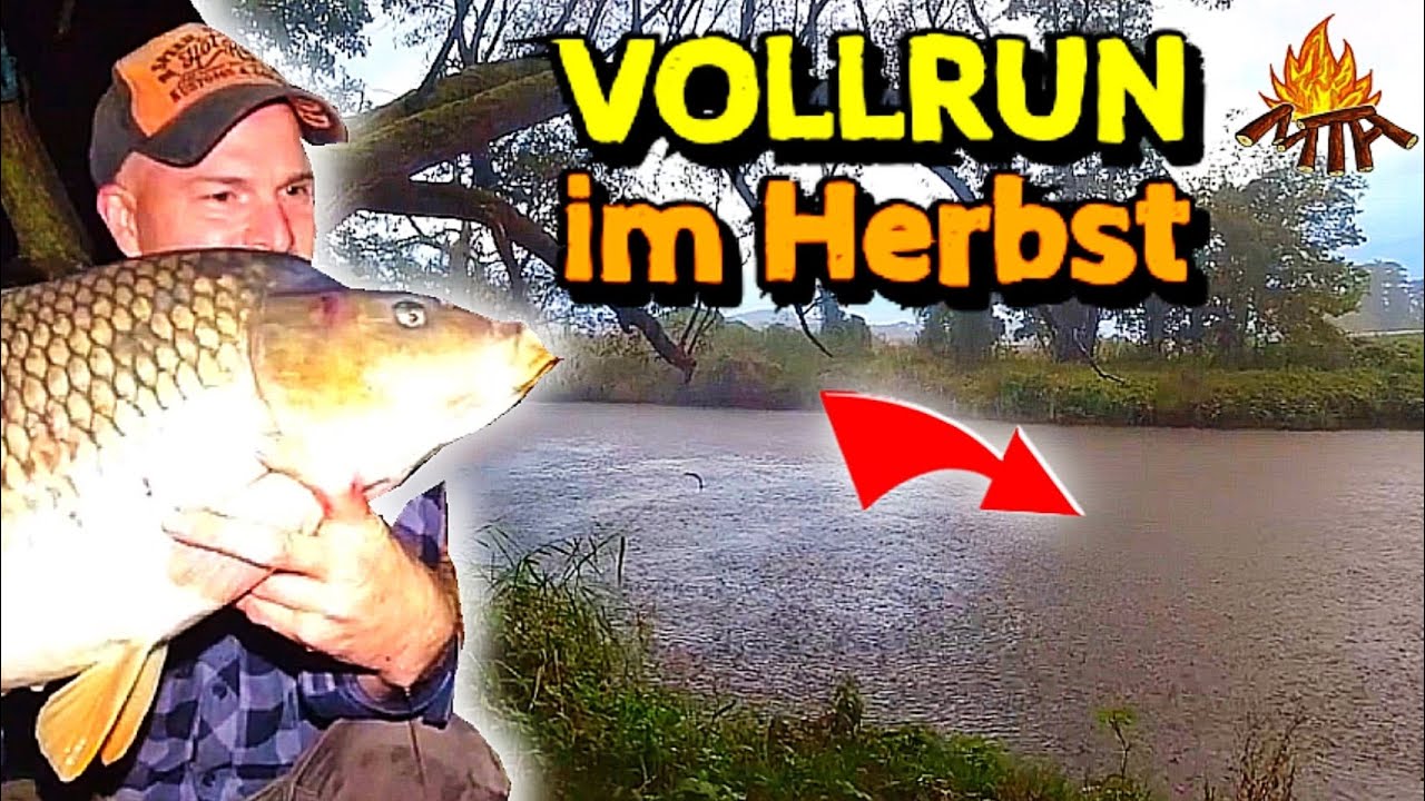 Karpfenangeln im Herbst am kleinen Fluß YouTube
