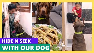 Hide N Seek with Our Dog(Simba) | Family Funny videos |Simbastation.. #viralvideos #funnyvideos