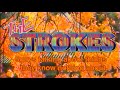 E3 - 5guys talking about things they know nothing about ~ The Strokes