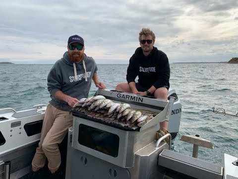 Awesome whiting session and big squid!!!!!!