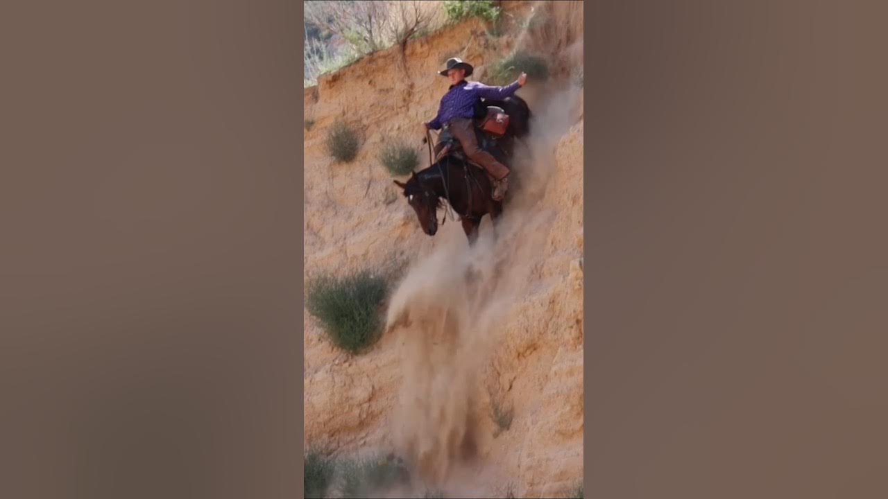 Would you ride your horse down this hill? #mustanghorse #horses #fyp (performed by professionals) Would you ride your horse down this hill? #mustanghorse #horses #fyp (performed by professionals)