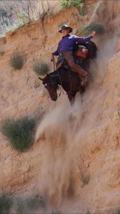 Would you ride your horse down this hill? #mustanghorse #horses #fyp (performed by professionals)