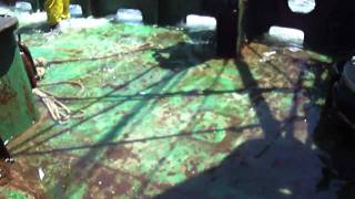 L/M CONSTITUCION - NAVEGANDO A PUERTO