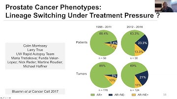 UW Pathology Grand Rounds Dr. Peter Nelson - Determining Tumor Heterogeneity of Molecular Phenotypes