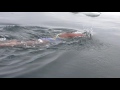 World record swim in antarctica ocean  longest distance swim in antarctica  bhakti sharmaudaipur