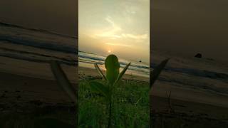 #Sunset 🌇 #Nature #Dadella #Beach 🏖