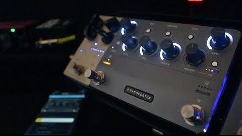 @NeuralDSP NANO CORTEX on Bass