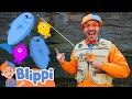 Blippi&#39;s Fishy Fishing Expedition! 🎣 | BLIPPI| Kids TV Shows | Cartoons For Kids | Fun Anime