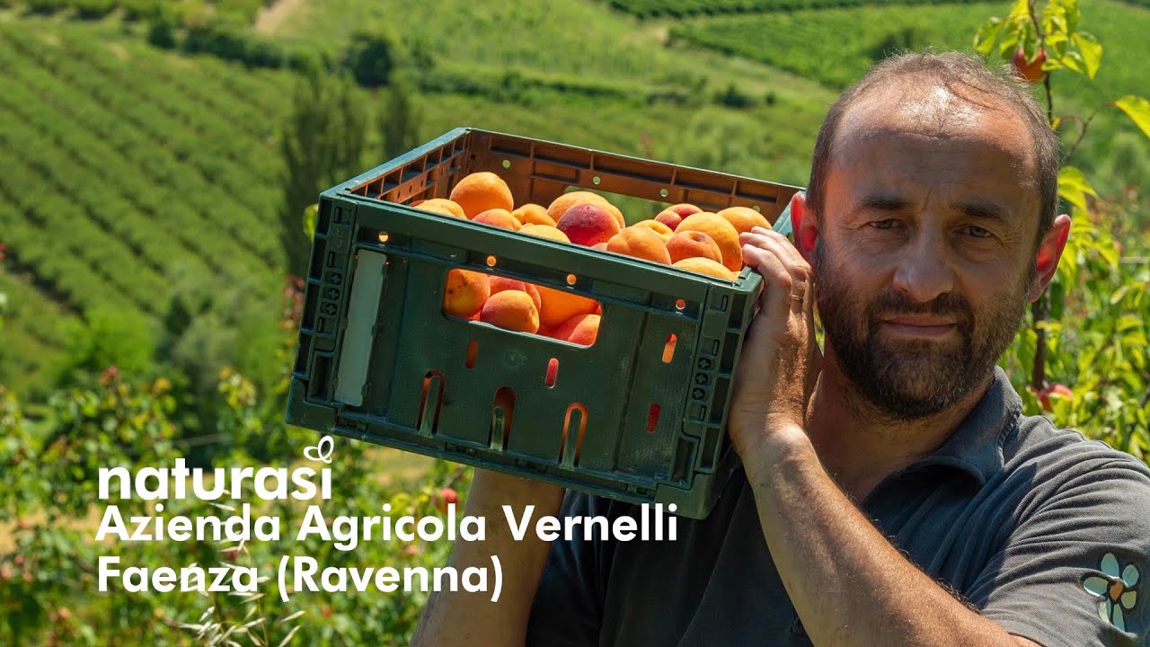 NaturaSì | Azienda Agricola Vernelli | Faenza (Ravenna) - YouTube