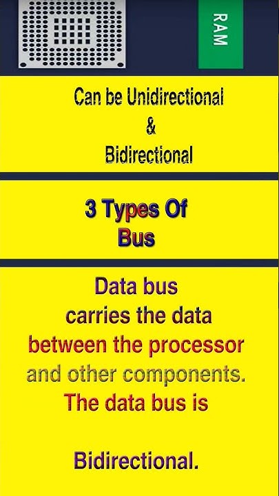 Address Bus, Data Bus and Control Bus Show - YouTube
