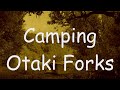 Waikanae to otaki forks  camping  te araroa trail