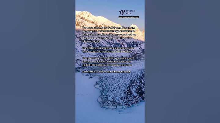 US Scientists Discover 1,700 Ancient Viruses in Tibetan Glacier Ice: Window into Earth's Past