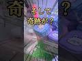 【ちいかわ】獲れ過ぎてヤバいクレーンゲームで奇跡が起きた #ちいかわ #ufoキャッチャー #クレーンゲーム #shorts