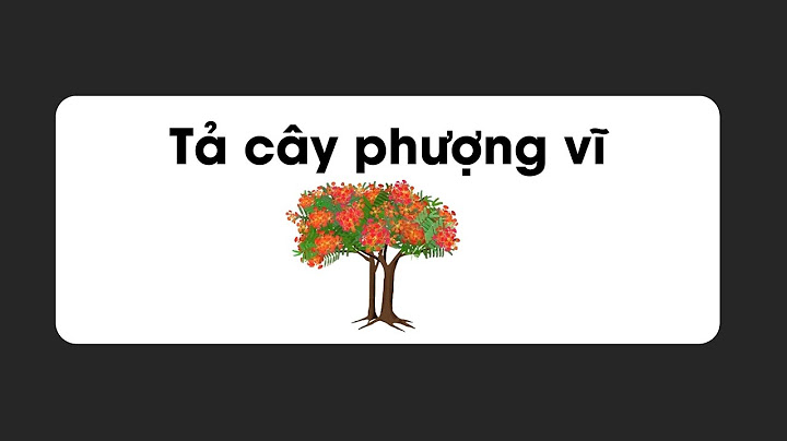 Văn tả cây phượng ngắn nhất lớp 4 năm 2024