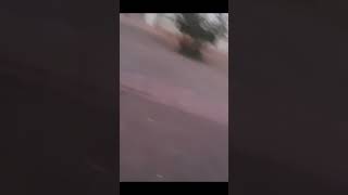 باقة ازدهار مهداة الى احلىمشتركين❤👍🏻🌺