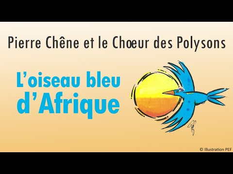 pierre-chêne-et-le-chœur-des-polysons---l'oiseau-bleu-d'afrique---clip-pour-enfants