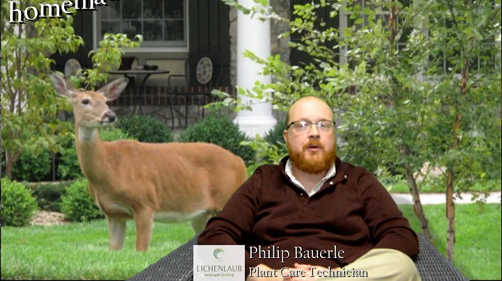 evaluating homemade deer control methods