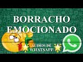 Borracho Emocionado ★AUDIOS de WHATSAPP★