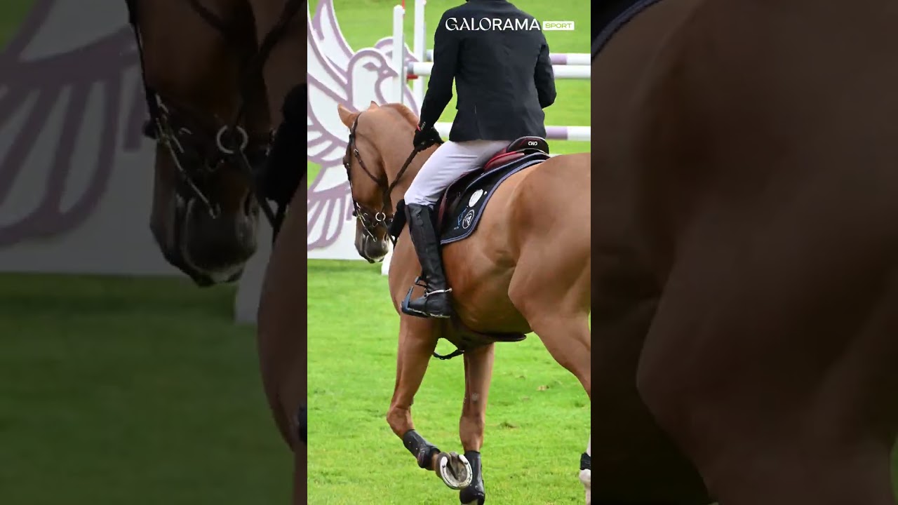 De sélectionneur des équipes de France à copropriétaire d’un cheval d’avenir