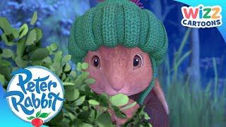 @OfficialPeterRabbit  Hide & Seek Adventures | ActionPacked Adventures | Wizz Cartoons