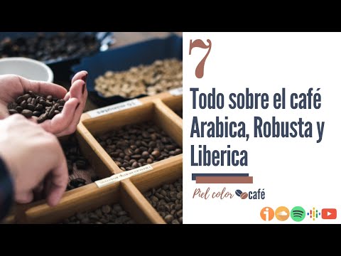EP7. Todo sobre el café Arabica, Robusta y Liberica