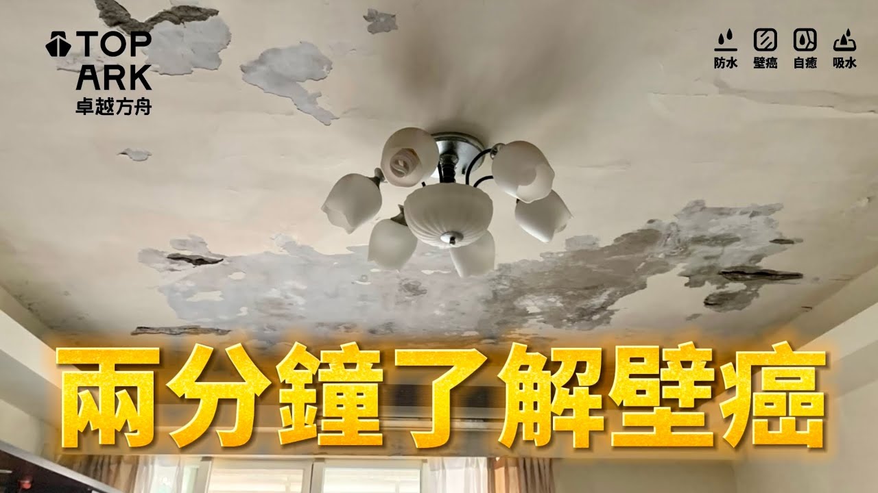 你了解壁癌嗎?兩分鐘為你簡介壁癌! - YouTube