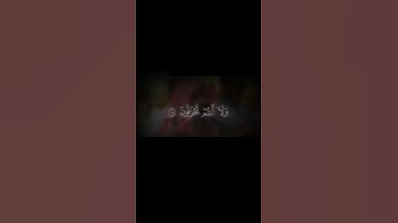 #قرآن_كريم #محمد_اللحيدان #اجر_لي_ولك #المصحف #الرحمن #تلاوة_خاشعة #راحة_نفسية #اجر_لي_ولك #لايك
