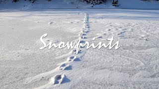 SNOWPRINT. Poem with narrative and text