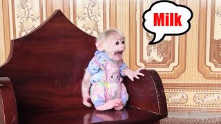Baby Monkey David cried and called Mom to make milk