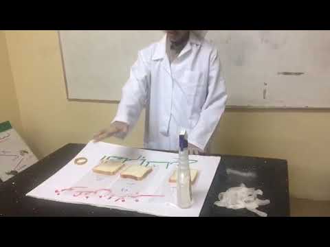 التعلم بالمشاريع نمو عفن الخبز المعلم أحمد محسن