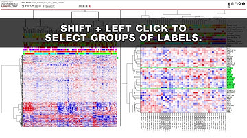 NG-CHM - Search and Selection Methods