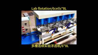 FX series lab flotation machine with 6 cells, each cell 8L volume #goldmining #flotationmachine