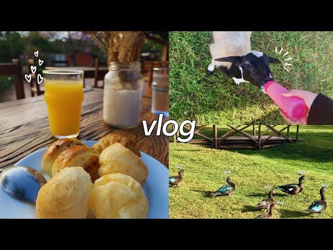 VLOG | um dia calmo, fazenda, bichinhos fofos e etc